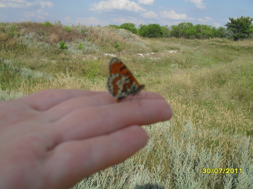 Андрей Поляков фотография #30