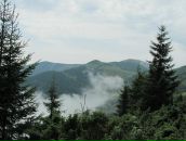 Наталі Микула фотография #8 (источник - https://vk.com/id147757654)