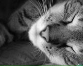 Юльчик Свірідова фотография #19 (источник - https://vk.com/id24937313)