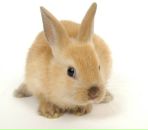 Фотография Мошны Михаила