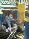 Лінуся Махун фотография #18 (источник - https://vk.com/id134395034)