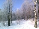Наталія Кірюхіна фотография #43 (источник - https://vk.com/id142137412)