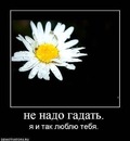 Ліля Хабло фотография #5 (источник - https://vk.com/id102418471)