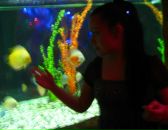 Фотография Репич Наташи