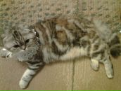 Виктория Сазонова фотография #49 (источник - https://vk.com/id806678)