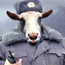 Андрій Вашченко фотография #17 (источник - https://vk.com/id107779213)