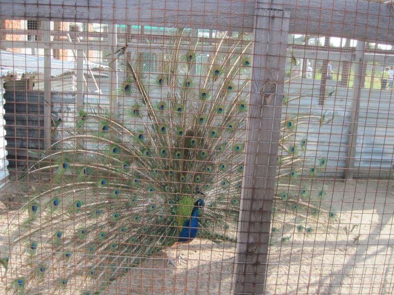 Наталья Гринёва фотография #41