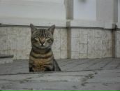 Фотография Логиновой Ирины