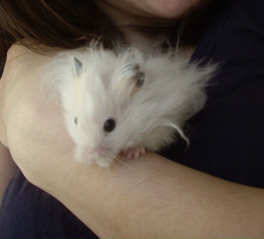 Дарья Ильина фотография #18