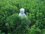 Інна Лахай фотография #21 (источник - https://vk.com/id39362208)