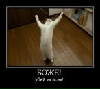 Фотография Гарапова Рамиля