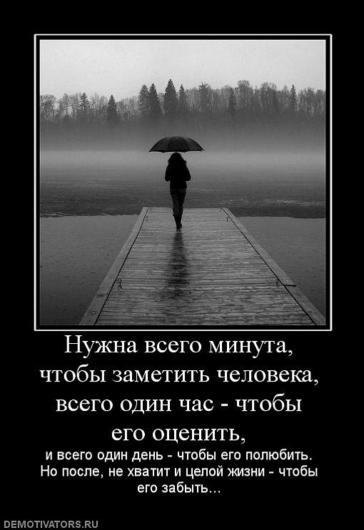 Дмитрий Андреев фотография #7