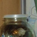 Діма Стоцький фотография #30 (источник - https://vk.com/id78186447)