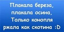 Світлана Шпильова фотография #8 (источник - https://vk.com/id54464568)