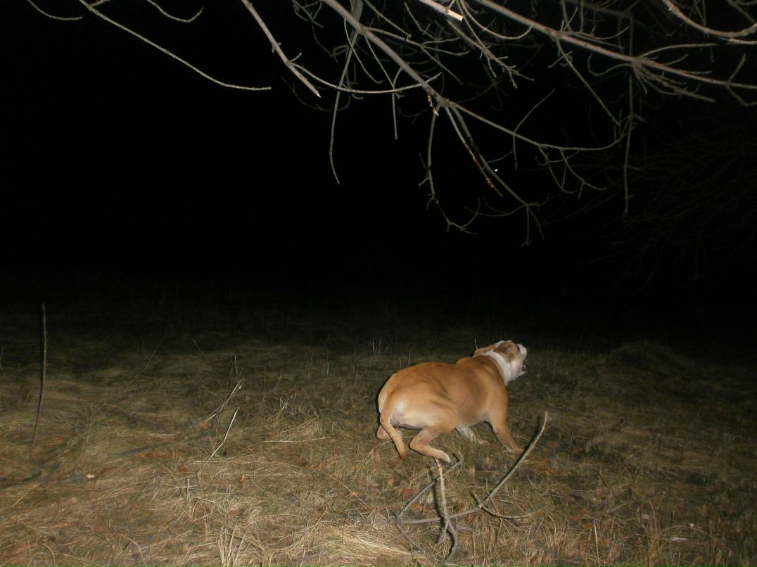 Роман Василенко фотография #49