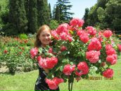 Фотография Егоровой Валерии