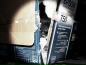 Фотография Клопа Гальки