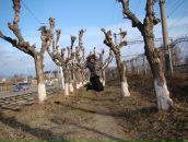 Фотография Валеры Леры