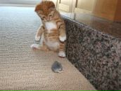 Фотография Шошина Владислава