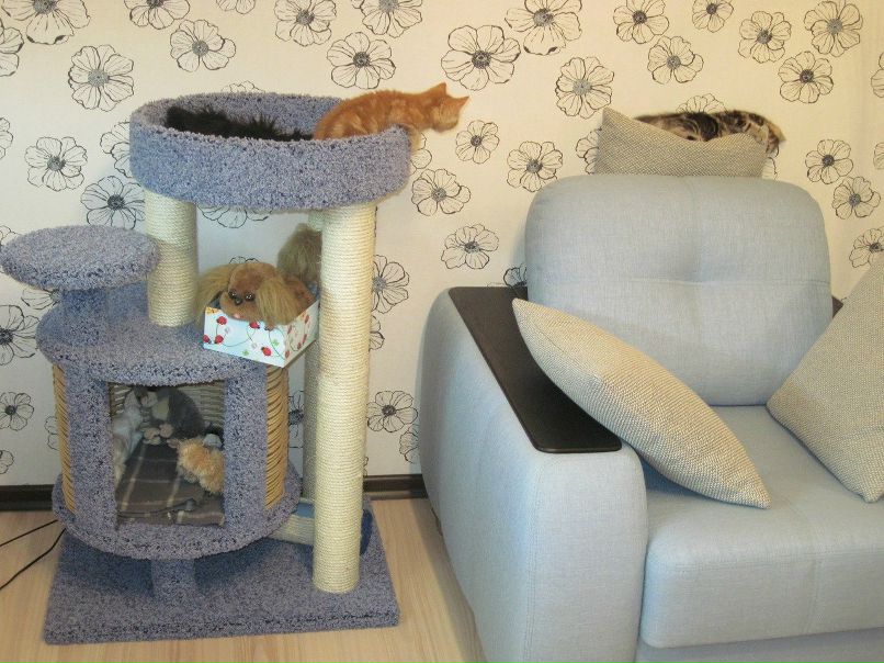 Робин Рут фотография #3