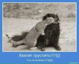 Алина Українка фотография #28 (источник - https://vk.com/id8172251)