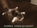 Фотография Захаровой Натальи