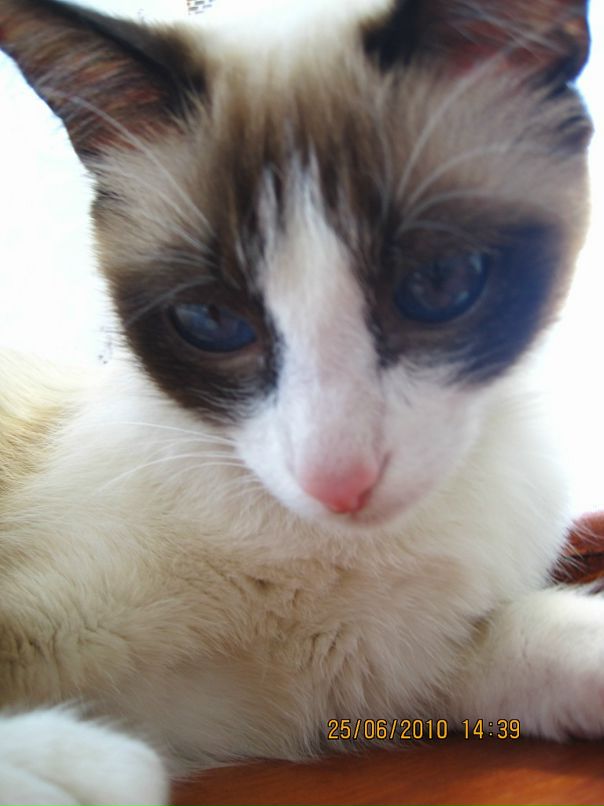 Валентин Шкодин фотография #39