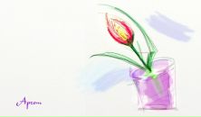 Фотография Князевой Катерины