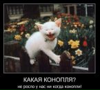 Фотография Тулякова Татьяна