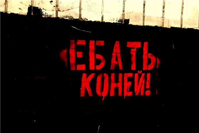 Дима Noize фотография #2