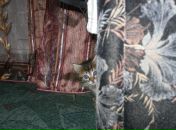 Фотография Щуцкой Екатерины