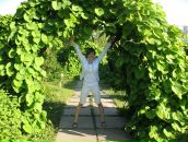 Фотография Сарафановой Евгении