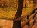 Лєна Цюрак фотография #41 (источник - https://vk.com/id52048843)
