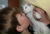 Фотография Лемешевского Костика