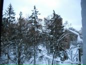 Андрій Васін фотография #26 (источник - https://vk.com/id33755045)