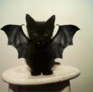 Princessa София фотография #1