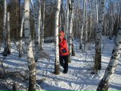 Фотография Лебедевой Анны