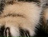 Сабіна Енергетик фотография #30 (источник - https://vk.com/id93044912)