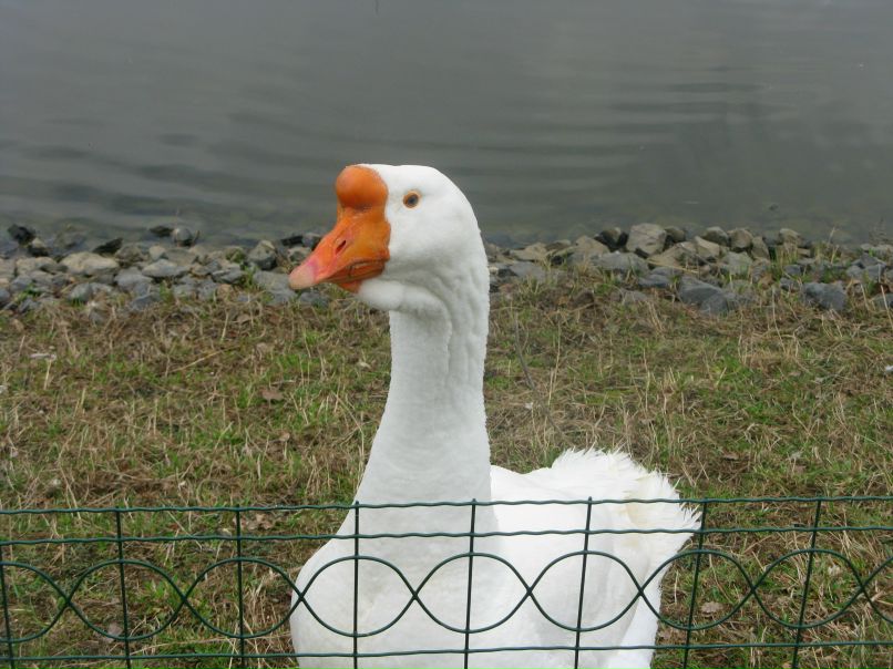 Дима Валуев фотография #11