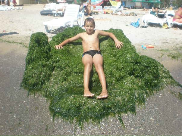 №17, Артур Степонян №17, Артур Степонян