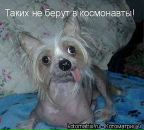 Фотография Борняковой Анны