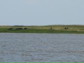 Дмитрий Кошелев фотография #5 (источник - https://vk.com/id2575330)