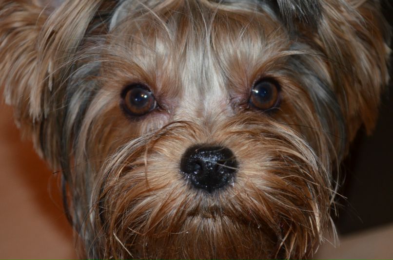 Дмитрий Дяков фотография #22