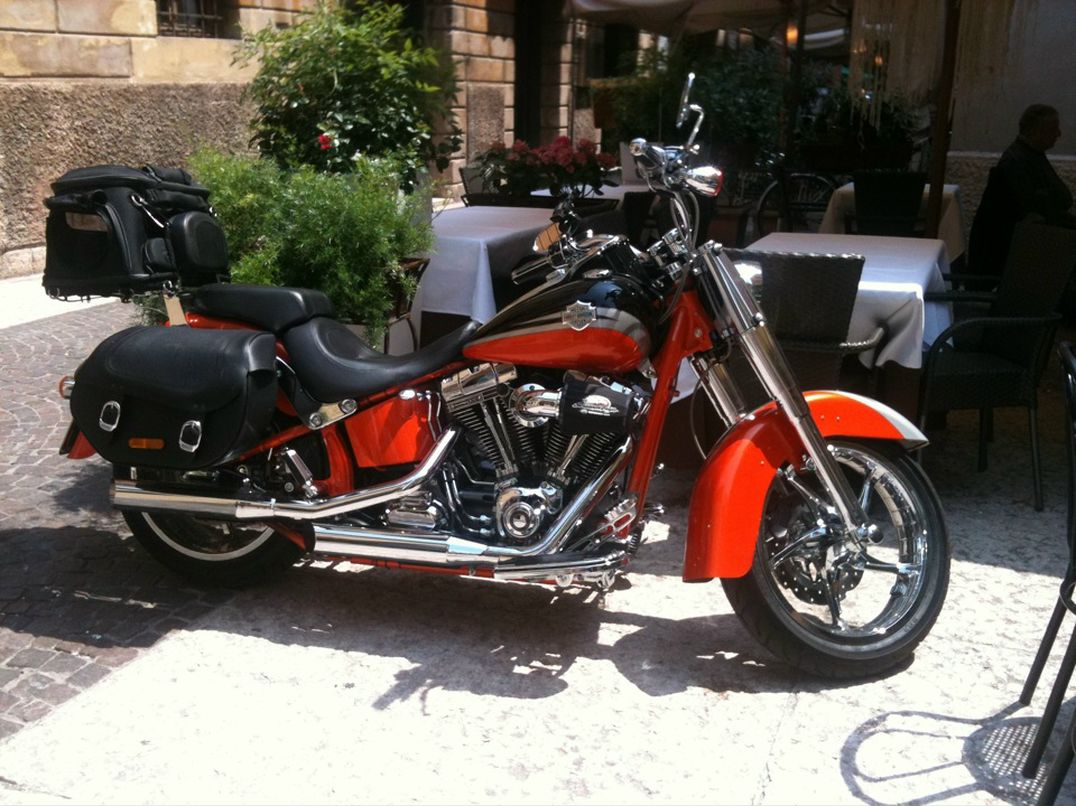 Al Ex фотография #30