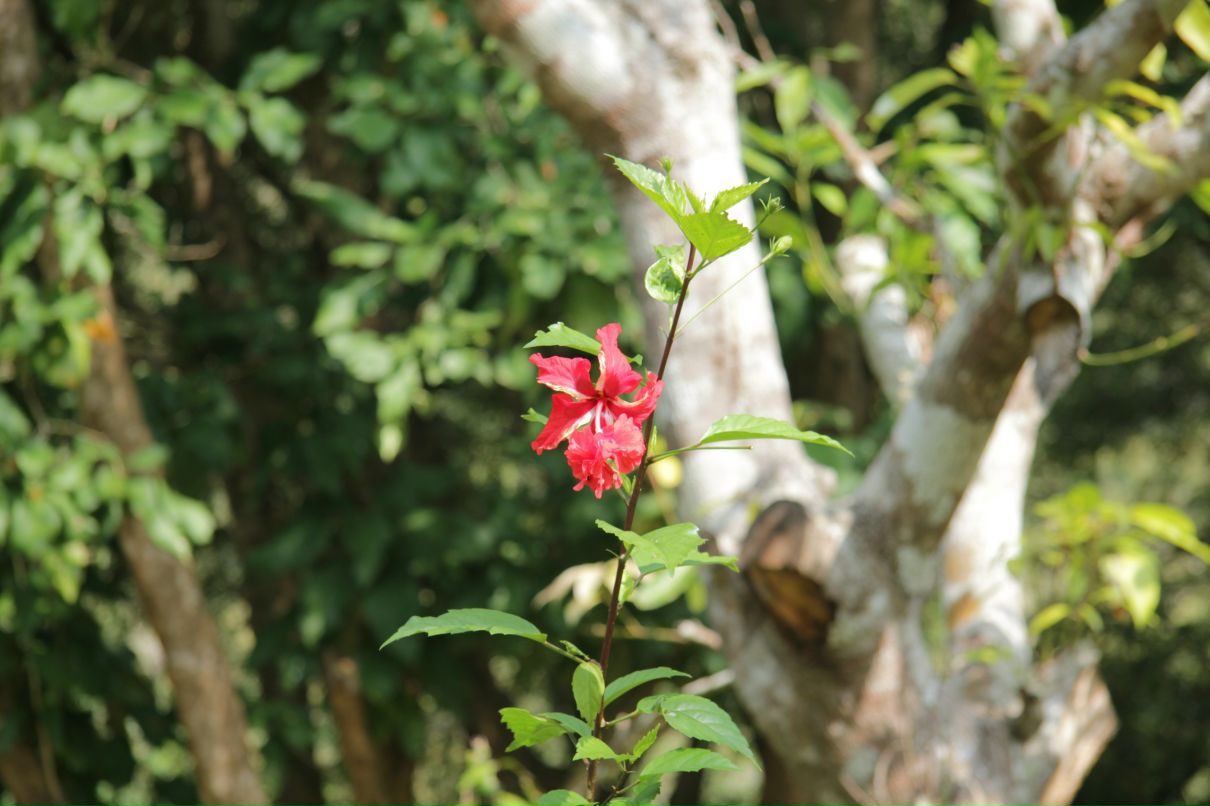 Дмитрий Симонов фотография #21