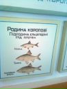 Віталік Пасєка фотография #37 (источник - https://vk.com/id63623114)