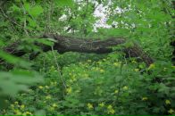 Фотография Прокофьевой Кати