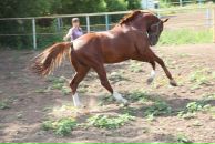 Лидулька Зинченко (галлямова) фотография #19 (источник - https://vk.com/id71470483)