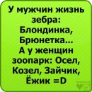 Дімон Мойпанюк фотография #21 (источник - https://vk.com/id116589529)