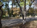Фотография Масхут Абдулкадыров